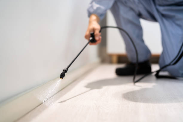 Rodent Entry Point Assessment in Baton Rouge
