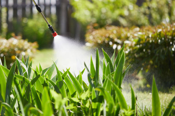 Tamper-Resistant Bait Stations for Rodents in Baton Rouge