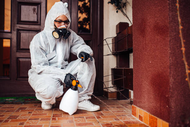 Attic and Crawl Space Rodent Treatment in Baton Rouge