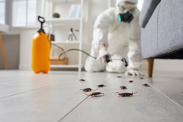 Commercial Rodent Management in Baton Rouge